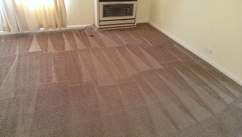 carpet steam cleaning berwick