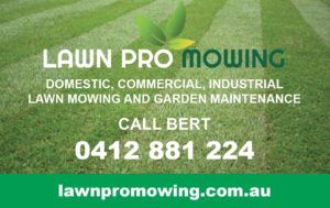 lawnpro-mowing-business-card.png